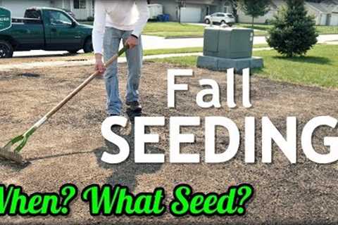 Fall Cool Season Lawn Seeding Tips // When? What Grass Seed?