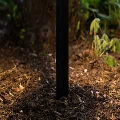 The Top Brands of Smart Landscape Lighting