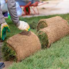 How Sod Suppliers In Austin, TX Help Landscape Contractors Thrive