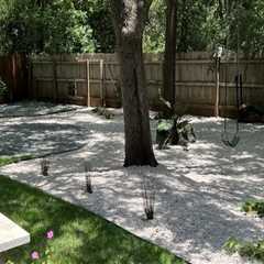 How St. Aug Grass Complements Tree Care Services For A Stunning Landscape In Austin, TX