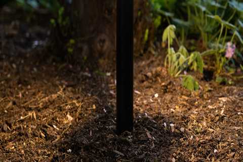 The Top Brands of Smart Landscape Lighting