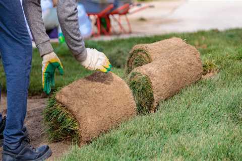 How Sod Suppliers In Austin, TX Help Landscape Contractors Thrive