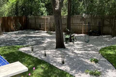 How St. Aug Grass Complements Tree Care Services For A Stunning Landscape In Austin, TX