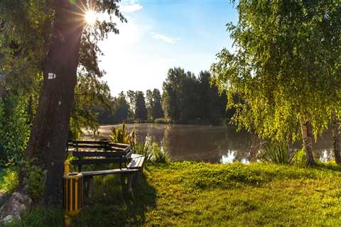 Why Commercial Pest Control Is Essential For Effective Tree Maintenance In Las Vegas, NV