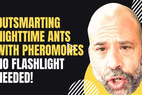 Nighttime Ant Foraging  Mastering Pheromone Baiting Strategies