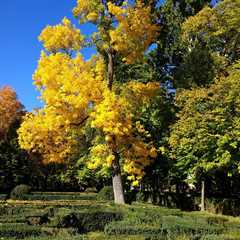 THE DANGERS OF NOT TREATING TREE INFESTATIONS EARLY