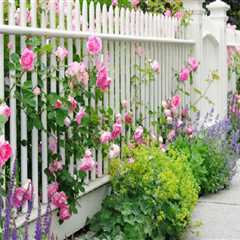 Garden Fencing Ideas to Enhance Your Landscape Design