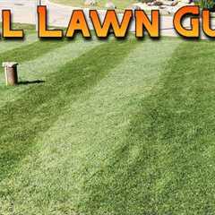 Complete Fall Lawn Care Guide