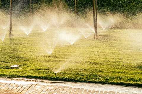 How Landscape Maintenance Ensures Grass Seed Thrives In New Hampshire's Climate