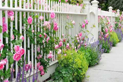 Garden Fencing Ideas to Enhance Your Landscape Design