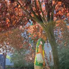 Why New Zealand Gardens Need Professional Arborist Services