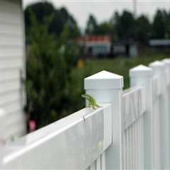 Top Considerations for Fencing New Plymouth’s Coastal Properties