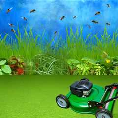 How Proper Lawn Mowing Can Reduce Pesticide Use On Lawns