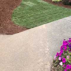 All About Residential Landscape Construction In Portland, OR