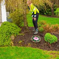 The Importance Of Tree Maintenance For A Healthy Lawn In Derry, NH