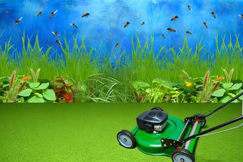 How Proper Lawn Mowing Can Reduce Pesticide Use On Lawns