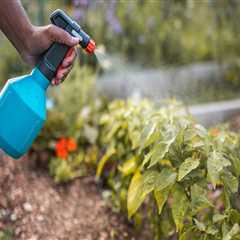 The Importance of Regular Application of <b>Organic Pest Control Products</b>