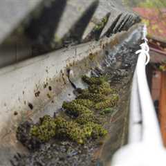 Gutter Cleaning in  Carrington Don’t Let Blocked Gutters Cause Damage To Your Home Or Business..