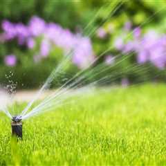 Why Tree Services Are Essential For Ensuring Proper Functioning Of Your Lawn Sprinkler System