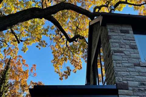 How to Trim Tree Branches for a Safe and Beautiful Roof