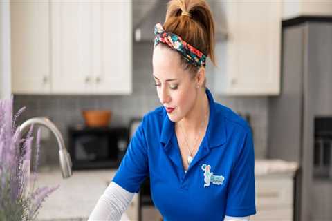 Perks Of Hiring A Maid Service Company That Offers Deep Cleaning Services In Rapids, MI