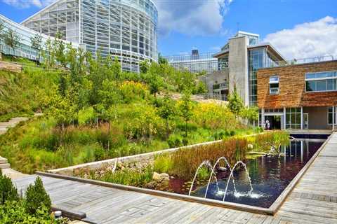 Exploring the World of Sustainable Landscaping Products