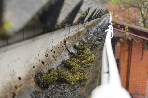 Gutter Cleaning in  Carrington Don’t Let Blocked Gutters Cause Damage To Your Home Or Business..