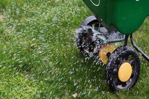 The Importance of Fertilization and Weed Control in Lawn Care Services