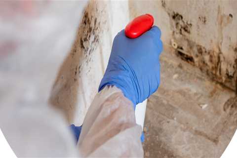 How To Safeguard Your Home With A Complete Mold Inspection In Charleston And Expert Deep Clean..