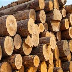 All About Wood and Timber: A Comprehensive Guide to Construction Materials