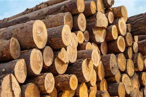 All About Wood and Timber: A Comprehensive Guide to Construction Materials