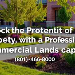 Unlock The Potential Of Your Property With A Professional Commercial Landscaper — Truco Services..