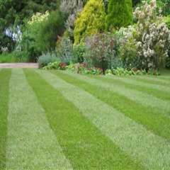 Perfecting Your Lawn: Grass Services In Pembroke Pines After Land Surveying