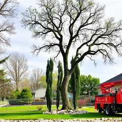 Tree Service Sandy UT 84093 Truco Services Inc