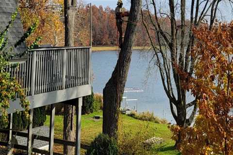 The Art Of Tree Care: Unmatched Service For Kalamazoo’s Trees