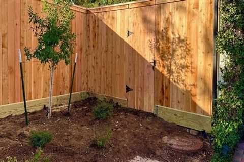 Why A Landscape Architect Ensures The Best Privacy Fence Prices In Friendswood, TX