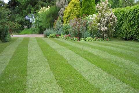 Perfecting Your Lawn: Grass Services In Pembroke Pines After Land Surveying