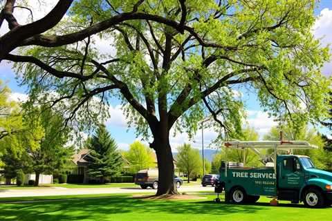 Tree Service Sandy UT 84093 Truco Services (801) 466-8044