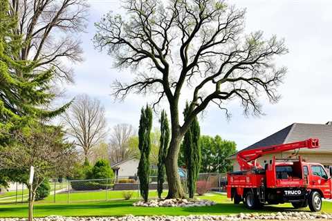 Tree Service Sandy UT 84093 Truco Services Inc