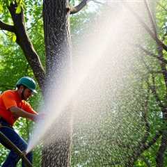 Tree Service Provo UT 84604 Truco Services Inc