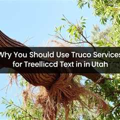 Why You Should Use Truco Services For Tree Removal In Utah