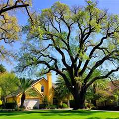 Tree Service Salt Lake City UT 84101 Truco Services Inc