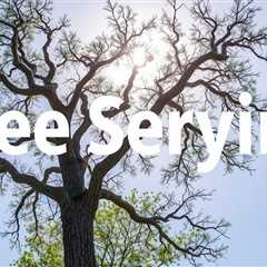 Tree Service Salt Lake City UT 84104 Truco Services Inc