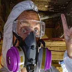 Mold Remediation For Healthier Homes In Taylorsville: Boost Your HVAC And Indoor Air Quality