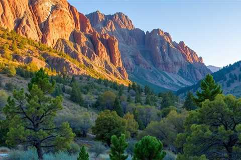 Ecosystem And Trees Spanish Fork UT