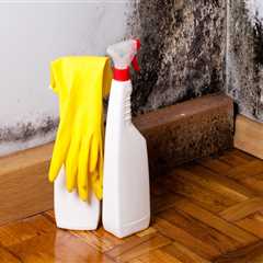 Mold Inspection Matters: Protect Your Home and Health with Early Detection