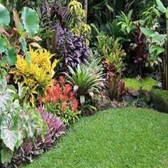 Plant Selection: Choosing the Right Plants for Your Landscape