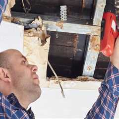 Water Extraction and Drying Services: A Comprehensive Guide for Fire and Water Damage Restoration