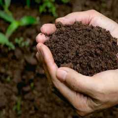 Improving Soil Quality and Plant Health: A Comprehensive Guide