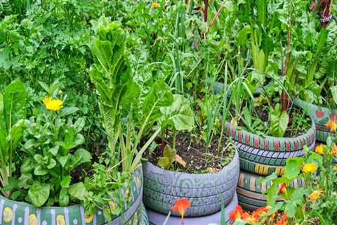 Repurposing Household Items as Planters: Creative Ideas for Home and Garden Improvement